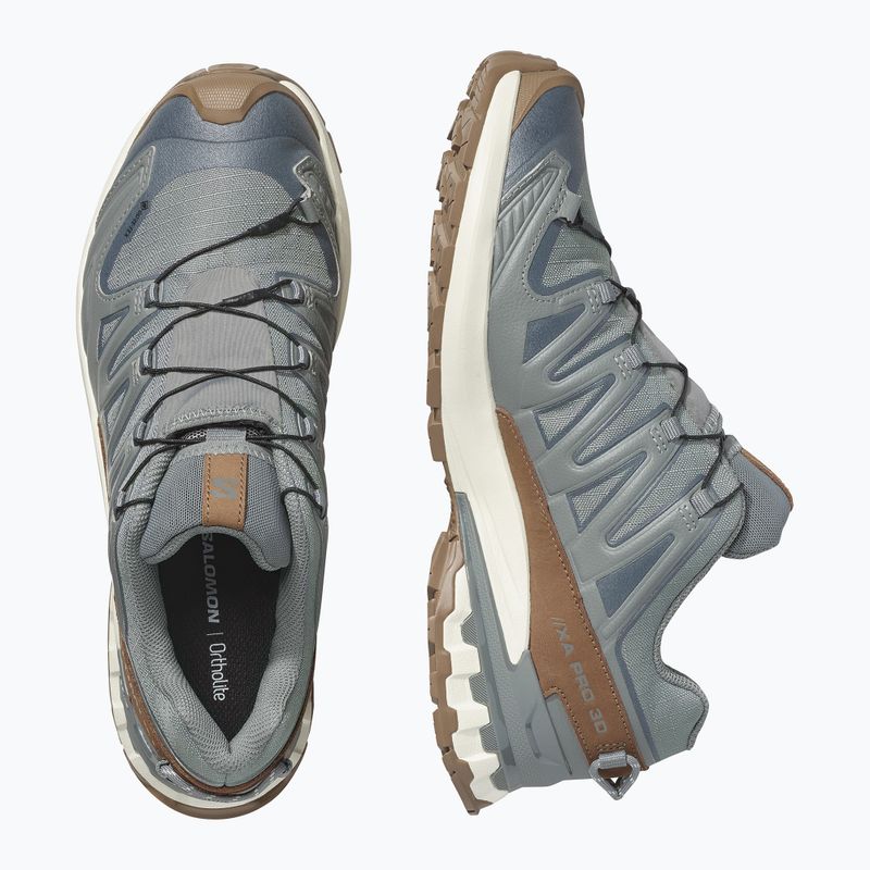 Buty do biegania męskie Salomon XA Pro 3D V9 GTX Lifelong sedona sage/coyote brown 10