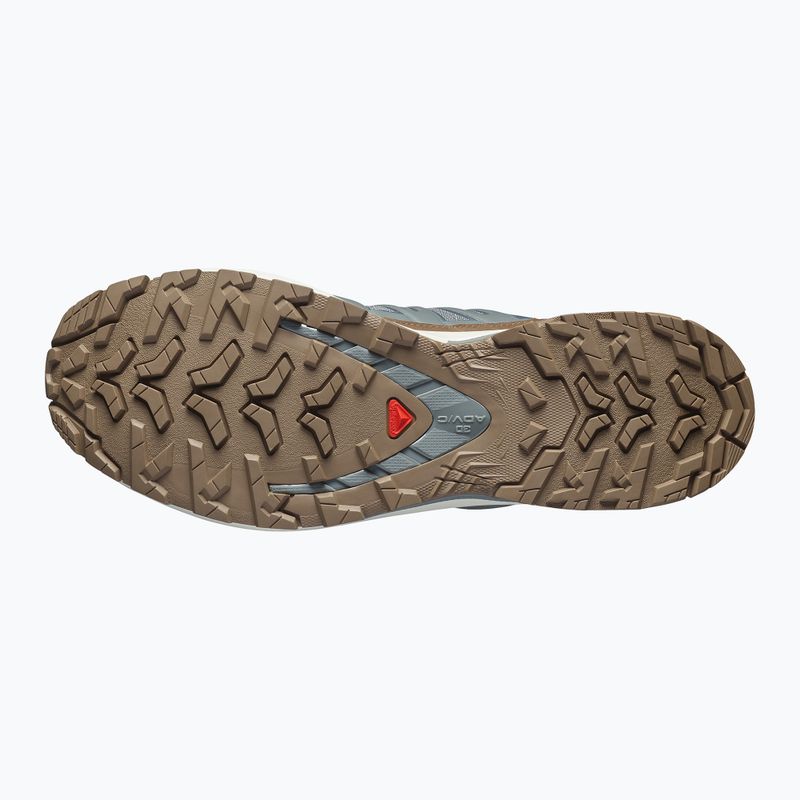 Buty do biegania męskie Salomon XA Pro 3D V9 GTX Lifelong sedona sage/coyote brown 11