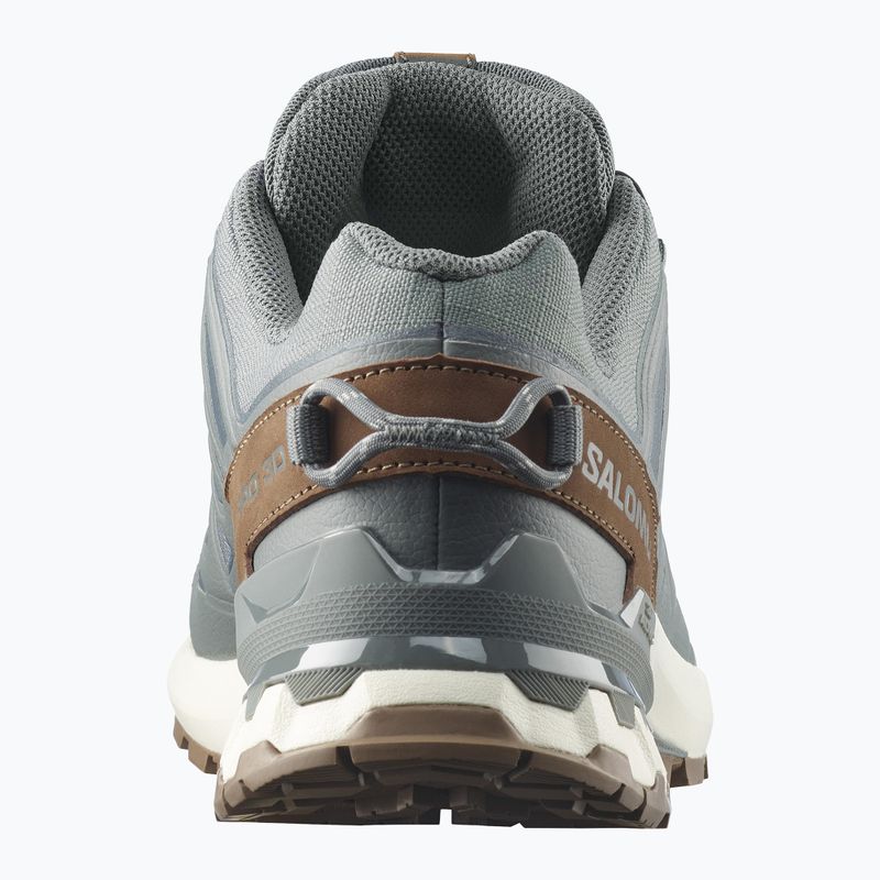 Buty do biegania męskie Salomon XA Pro 3D V9 GTX Lifelong sedona sage/coyote brown 12