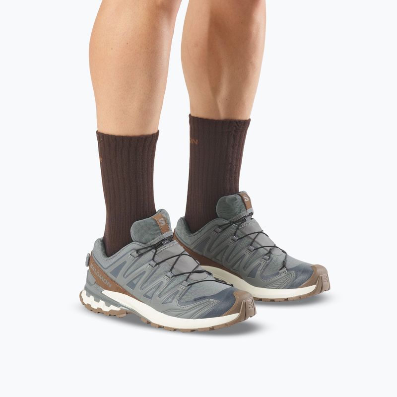Buty do biegania męskie Salomon XA Pro 3D V9 GTX Lifelong sedona sage/coyote brown 13