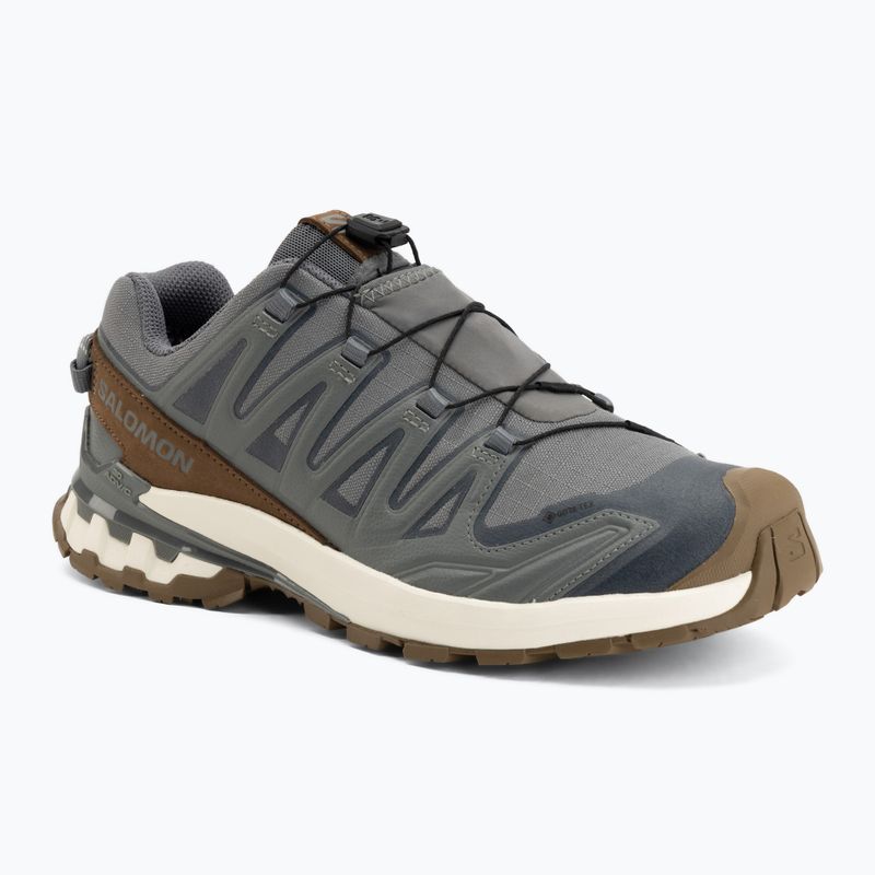 Buty do biegania męskie Salomon XA Pro 3D V9 GTX Lifelong sedona sage/coyote brown