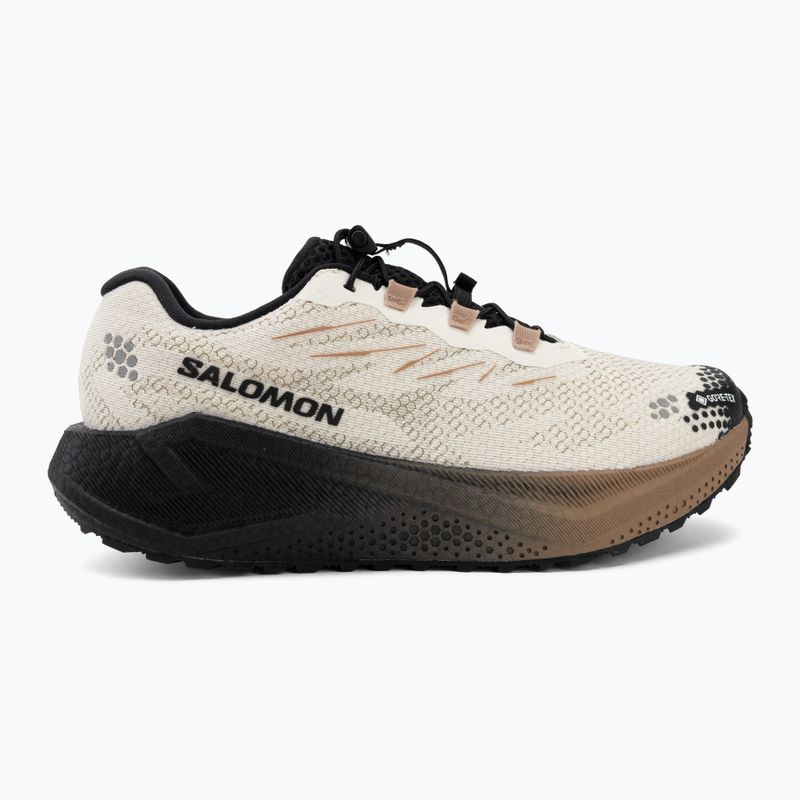 Buty do biegania męskie Salomon Aero Blaze 4 GRVL GTX vanilla ice/black 2