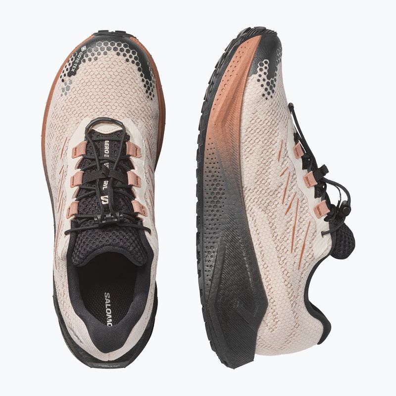 Buty do biegania męskie Salomon Aero Blaze 4 GRVL GTX vanilla ice/black 10