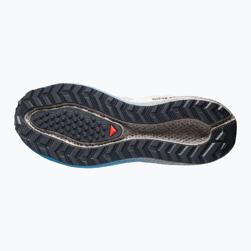 Buty do biegania męskie Salomon Aero Blaze 4 GRVL GTX oxford tan/black 11