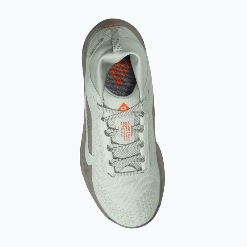 Buty do biegania damskie Nike ACG Pegasus Trail GORE-TEX Light Silver/Light Army/Light Silver 11