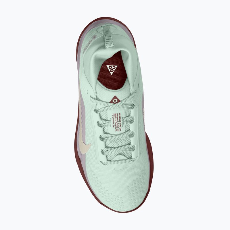 Buty do biegania damskie Nike ACG Pegasus Trail GORE-TEX Barely Green/Silver Lilac/Light Bone 11