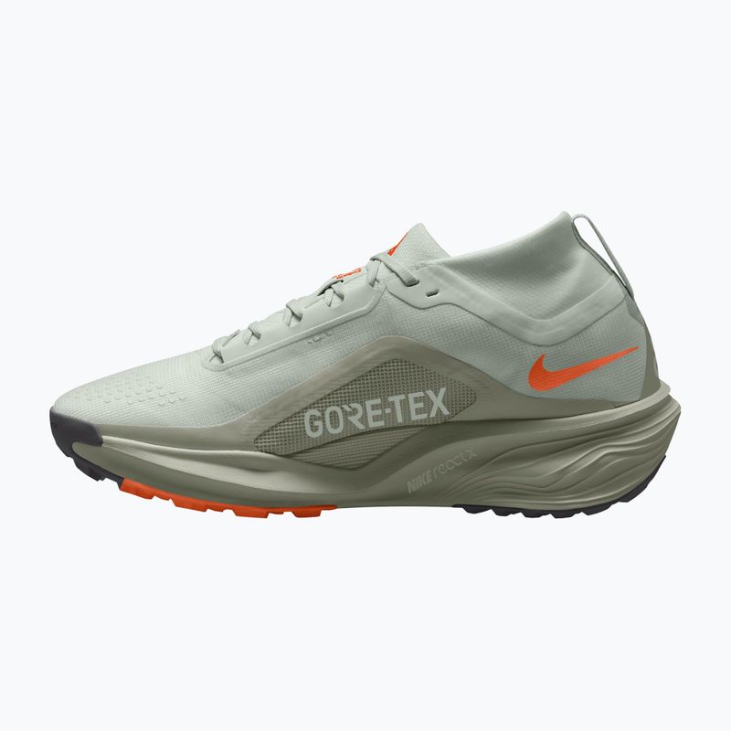 Buty do biegania męskie Nike ACG Pegasus Trail GORE-TEX Light Silver/Light Army/Light Silver 9