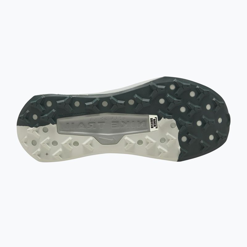 Buty do biegania męskie Nike Wildhorse 10 spruce fog/sea glass/black spruce 10