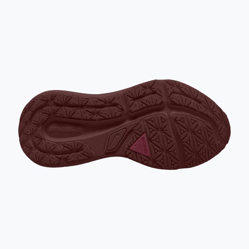 Buty do biegania damskie Nike Winflo 12 GORE-TEX pink smoke/mystic dates/reflective silver 2