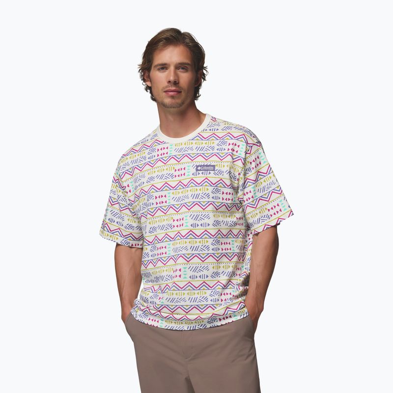Koszulka męska Columbia CSC Heavyweight Printed Tee sea salt/horizons