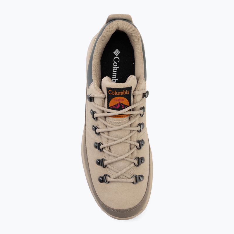 Buty trekkingowe męskie Columbia Newton Alpine Low fossil/sedona sage 5