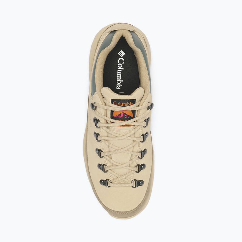 Buty trekkingowe męskie Columbia Newton Alpine Low fossil/sedona sage 11