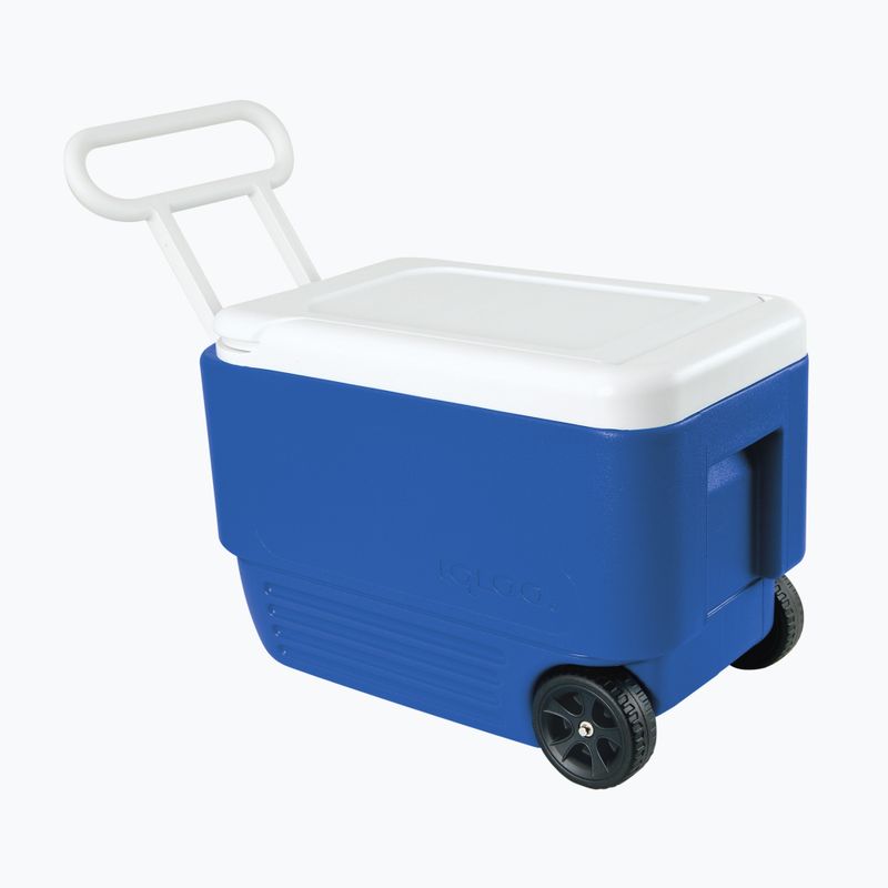 Lodówka turystyczna Igloo 38 QT Wheelie Cool Hard Sided 36 l majestic blue