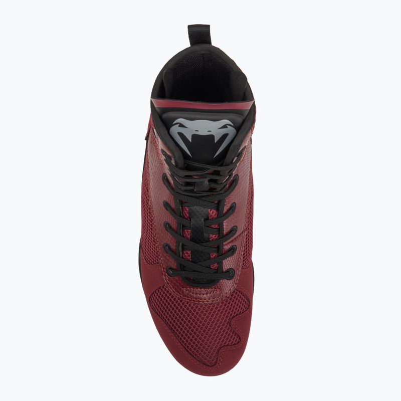 Buty bokserskie Venum Elite Boxing wine lees/silver logo 5