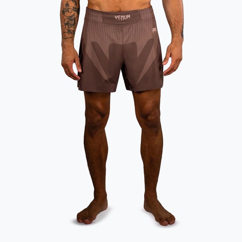 Spodenki treningowe męskie Venum No Gi chocolate brown