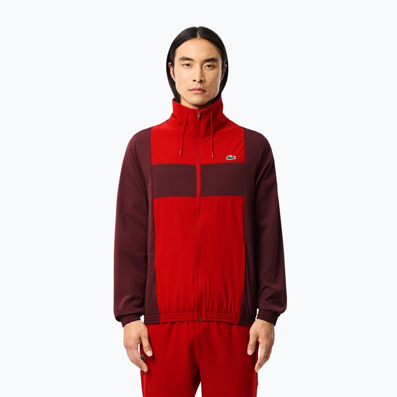 Dres męski Lacoste WH2522 expresso/opera 3