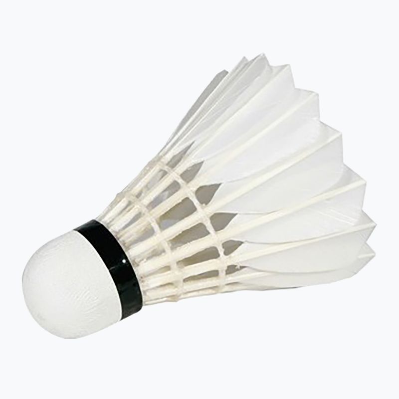Lotki do badmintona VICTOR Master Ace 12 szt. white 3