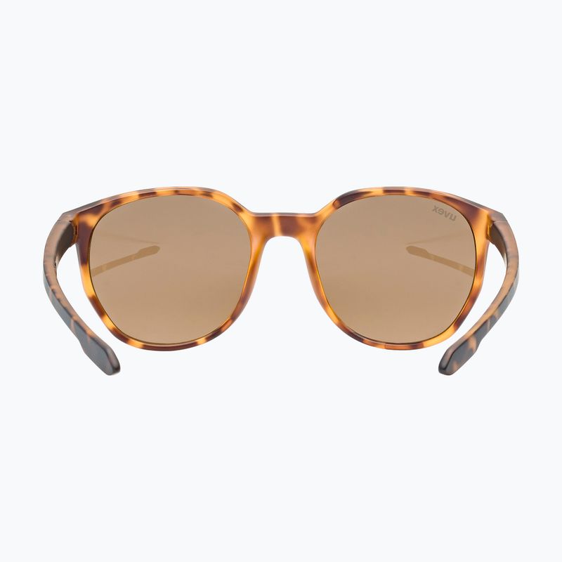 Okulary przeciwsłoneczne UVEX LGL 54 havanna matt/litemirror silver 6