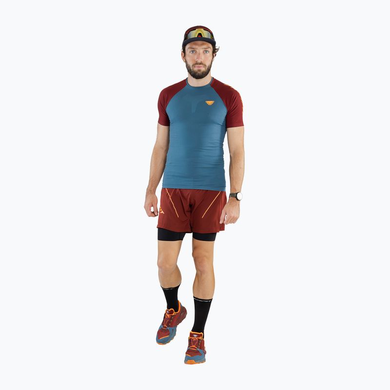 Buty do biegania męskie DYNAFIT Ultra 100 syrah/mallard blue 10
