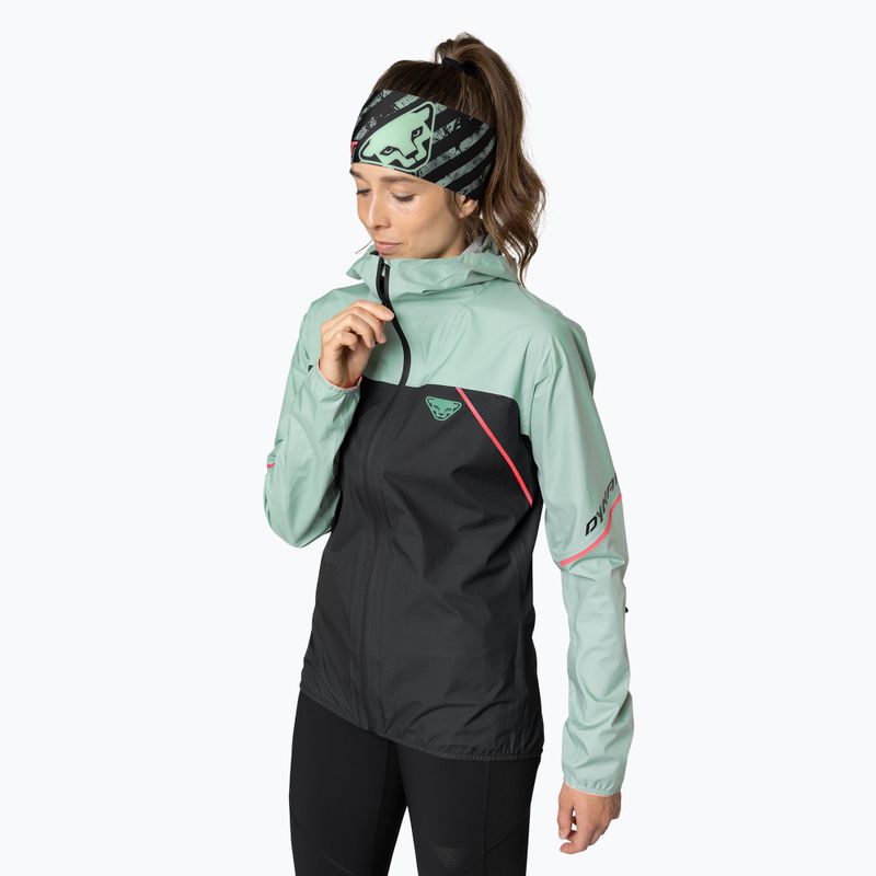 Kurtka do biegania damska DYNAFIT Alpine 3L jadelite 3
