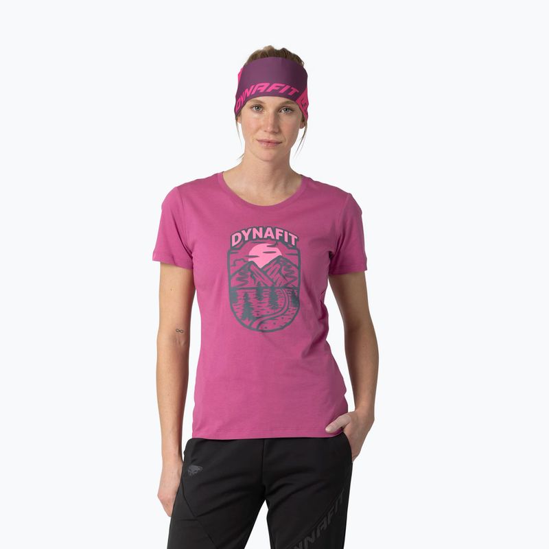 Koszulka damska DYNAFIT Graphic Co magenta/horizon