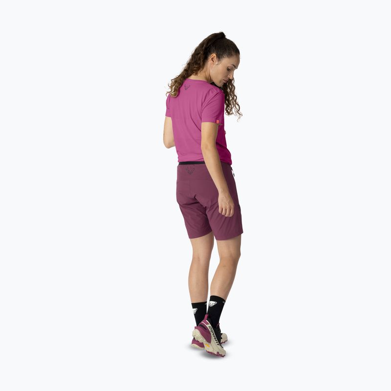 Spodenki trekkingowe damskie DYNAFIT Transalper Light Dynastretch amaranth/0910 3
