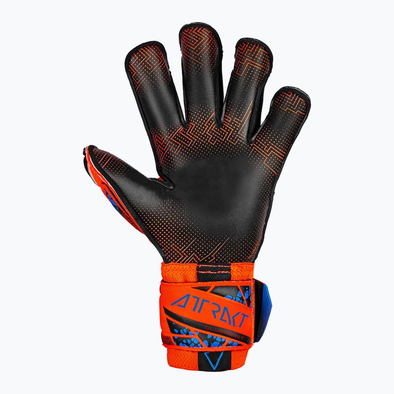 Rękawice bramkarskie Reusch Attrakt Gold X Evolution GluePrint hyper orng/elec blue/blck 3