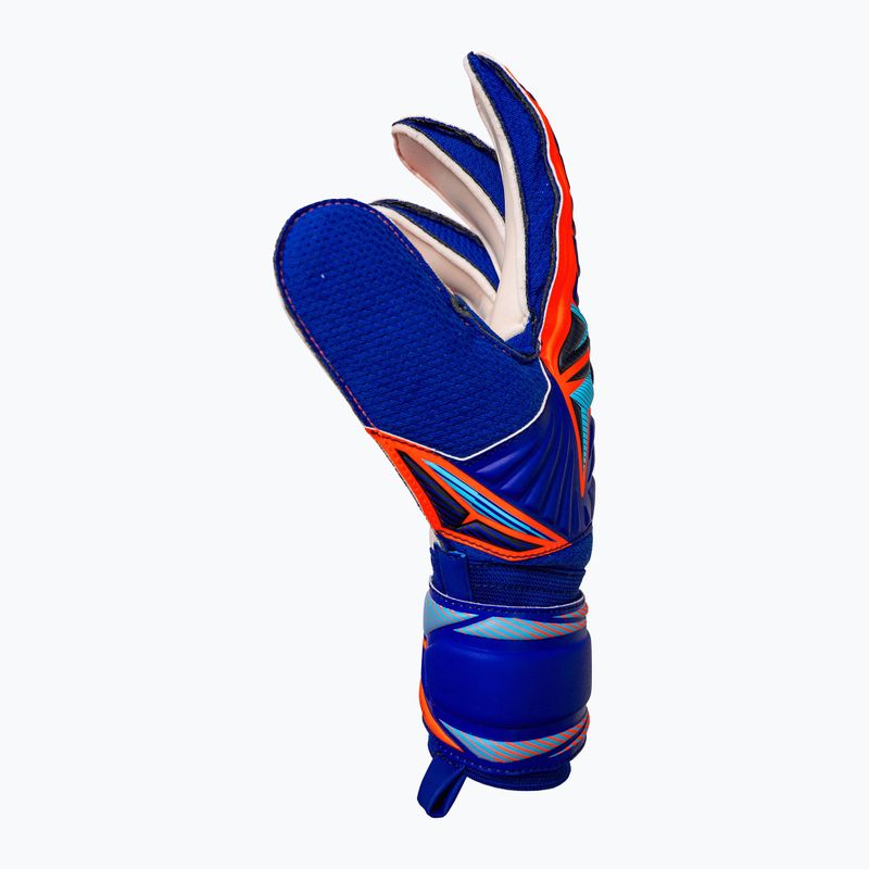 Rękawice bramkarskie Reusch Attrakt Solid sharp blue/shocking orange 4