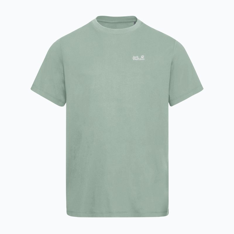 Koszulka męska Jack Wolfskin Essential green zinnia 5