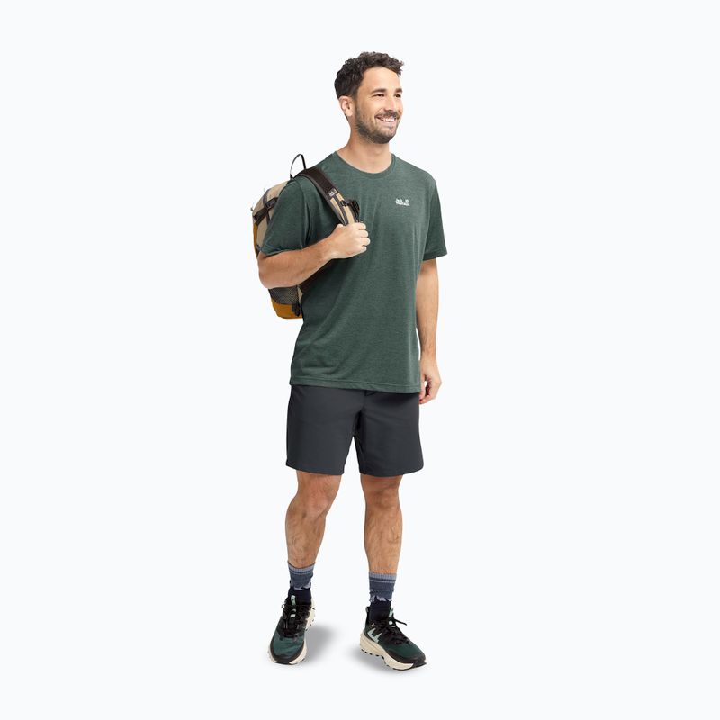 Spodenki trekkingowe męskie Jack Wolfskin Pico phantom 2