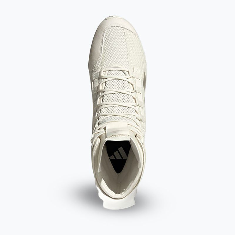 Buty bokserskie adidas Speedex 23 off white/beige/warm sandstone 14