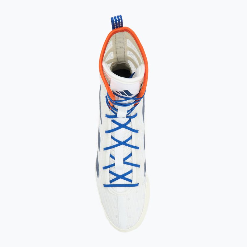 Buty bokserskie adidas Box Hog 4 white/navy 5
