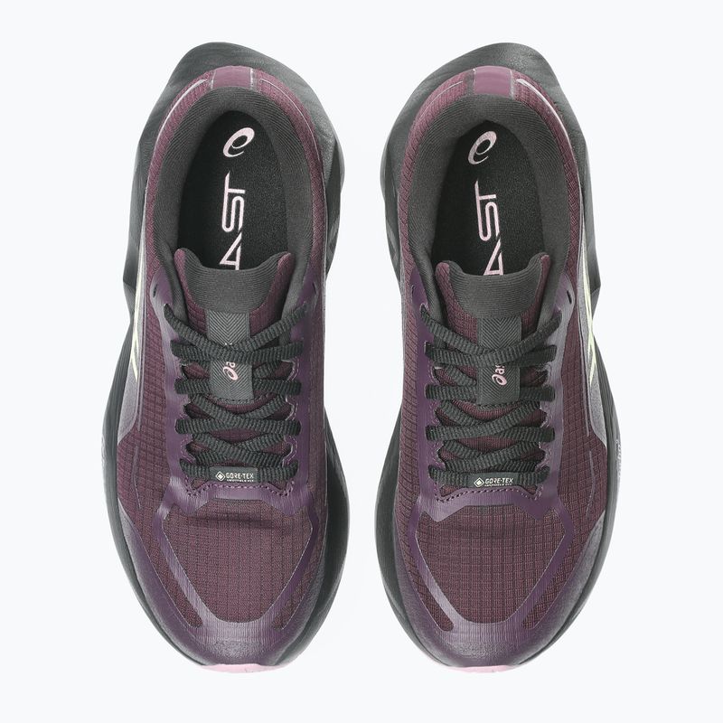 Buty do biegania damskie ASICS Novablast 6 GTX dark aubergine/black 10