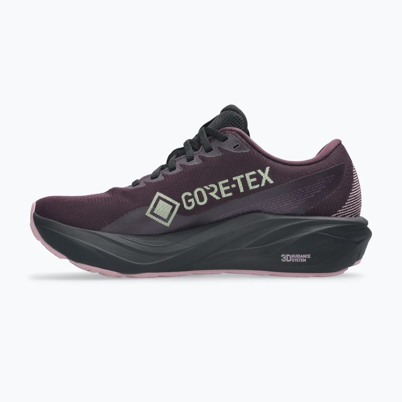 Buty do biegania damskie ASICS GT-2000 15 GTX dark aubergine/black 2