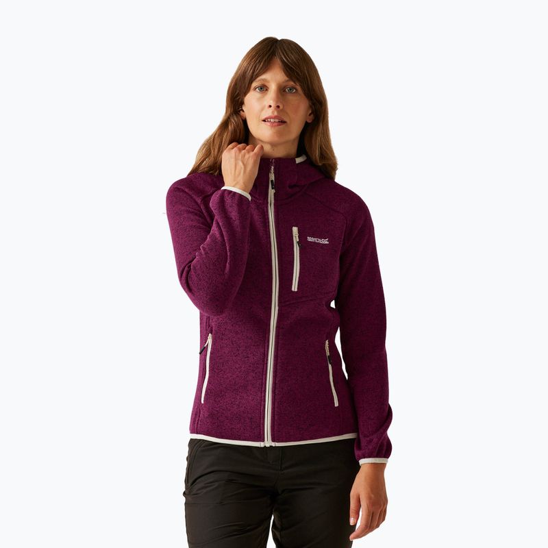 Bluza polarowa damska REGATTA Newhill II beaujolais/light vanilla