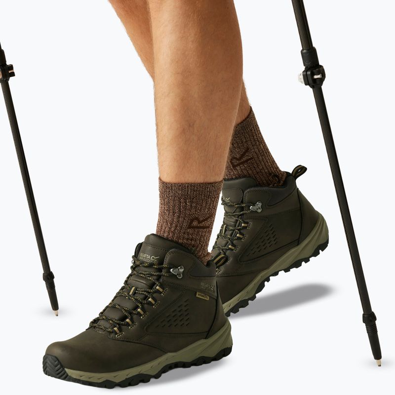 Buty trekkingowe męskie REGATTA Amble Boot Waterproof peat/tan 13