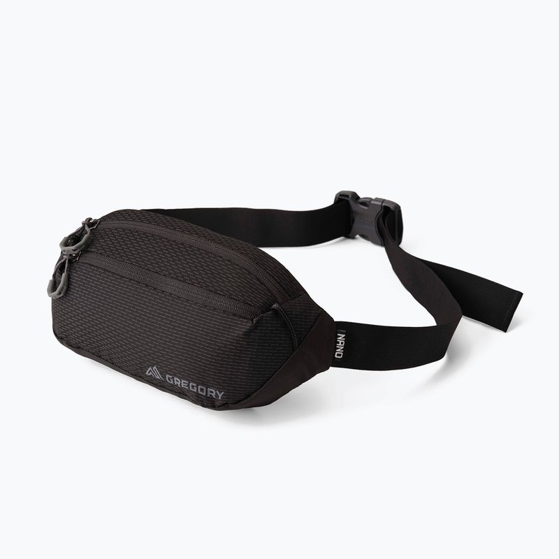 Saszetka nerka Gregory Nano Mini 3 l optic black