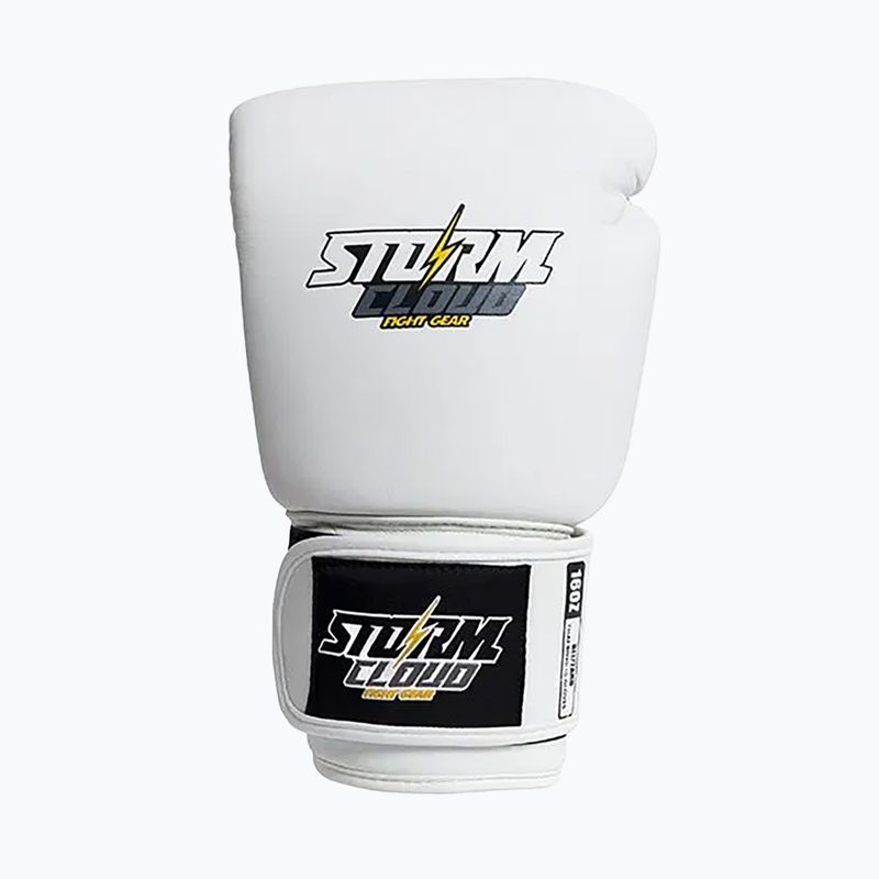 Rękawice bokserskie StormCloud Blizzard white/black 2