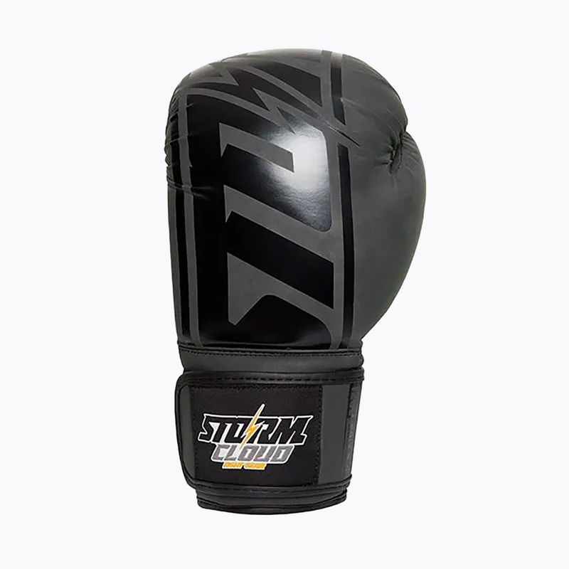 Rękawice bokserskie StormCloud Bolt 2.0 black/black 3