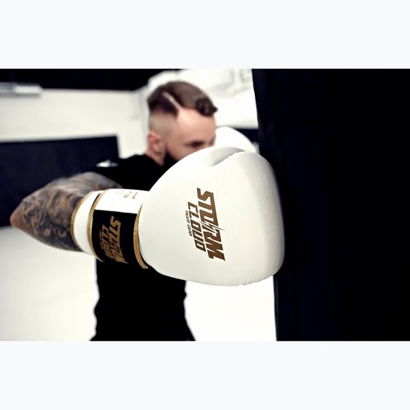 Rękawice bokserskie StormCloud Boxing Pro white/gold 10