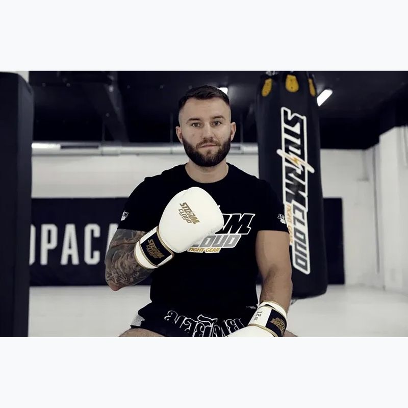 Rękawice bokserskie StormCloud Boxing Pro white/gold 12