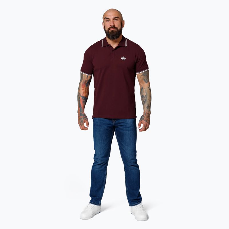 Koszulka polo męska Pitbull Polo Pique Stripes Regular burgundy 2