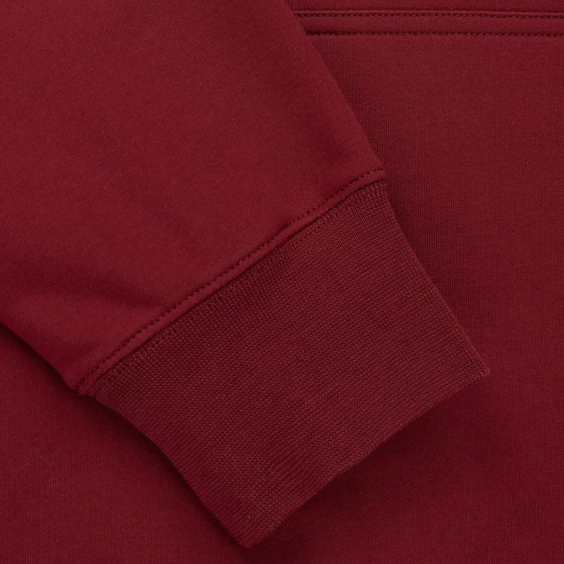 Bluza męska Pitbull San Diego Ca Hooded Sweatshirt burgundy 4