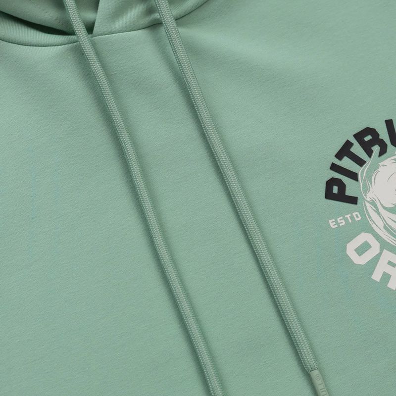 Bluza męska Pitbull Dog Sd Hooded Sweatshirt light mint 3