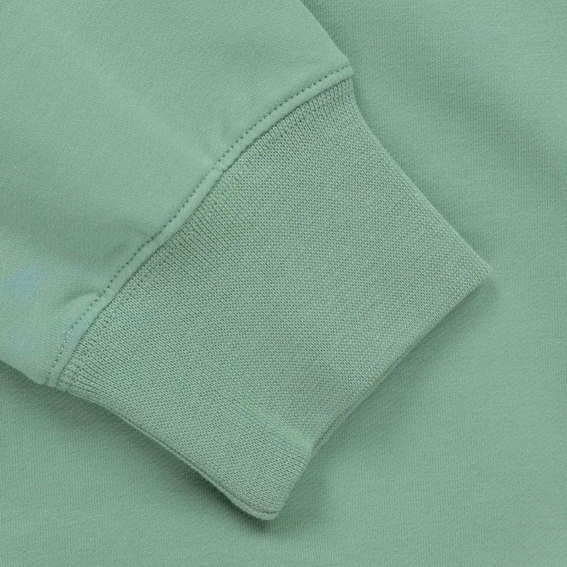 Bluza męska Pitbull Dog Sd Hooded Sweatshirt light mint 4