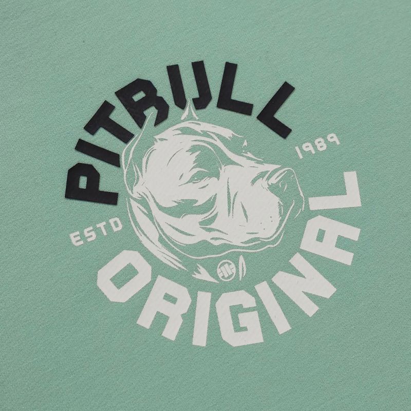 Bluza męska Pitbull Dog Sd Hooded Sweatshirt light mint 6