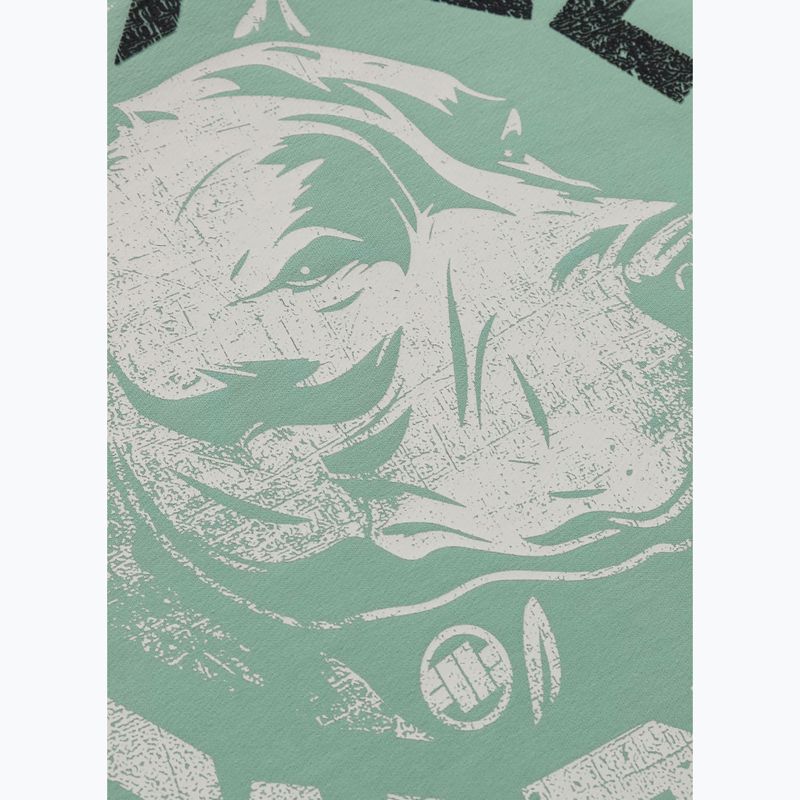 Bluza męska Pitbull Dog Sd Hooded Sweatshirt light mint 7