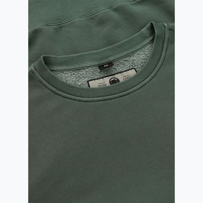 Bluza męska Pitbull Lancaster 2 Crewneck Sweatshirt sage green 6