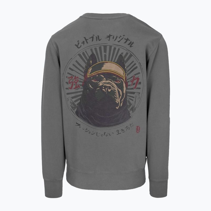 Bluza męska Pitbull Mt Fuji Crewneck Sweatshirt washed grey 2