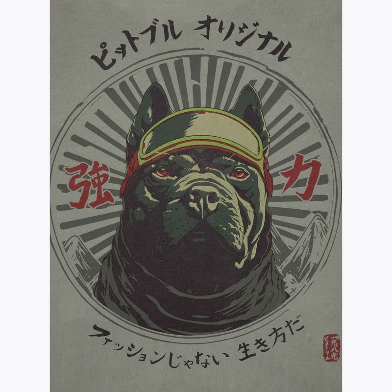 Bluza męska Pitbull Mt Fuji Hooded Sweatshirt grey harbour 6